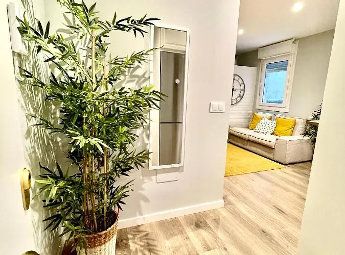 Loft Centro Apartment Pontevedra